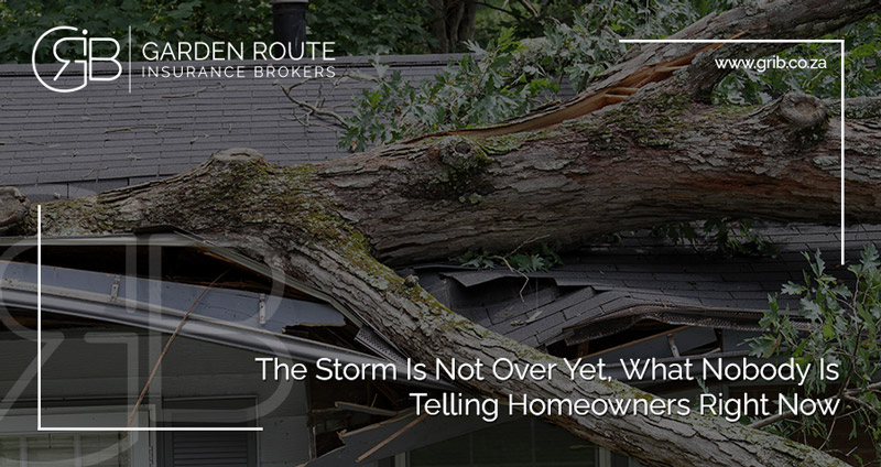 Tree fallen on the roof of someone's house